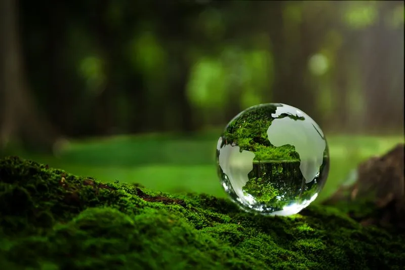 Environmental site assessment — protecting what matters