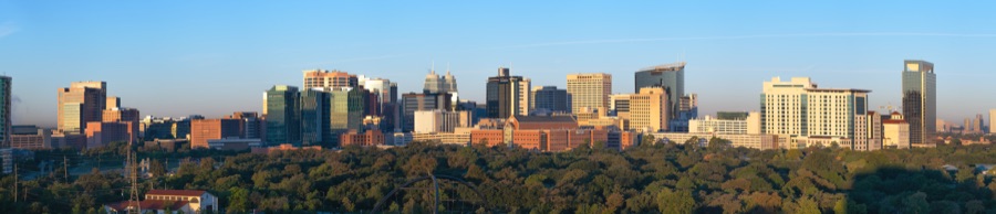 Texas Medical Center skyline