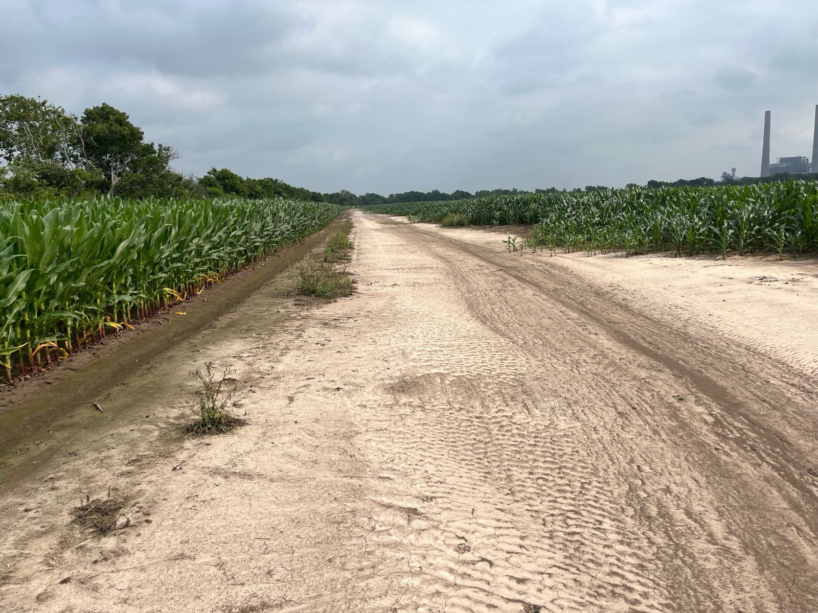 Graded earthen corridor for the Fort Bend Parkway extension