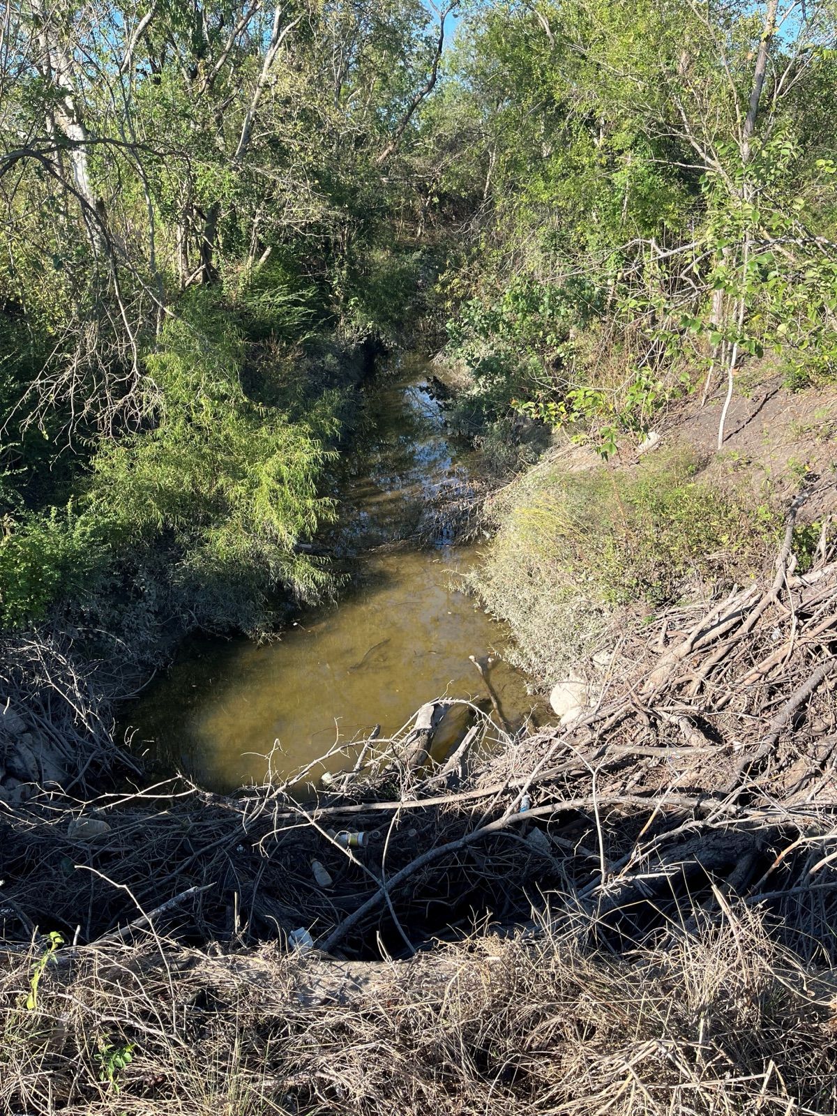Wallisville Outfall at Oates Road