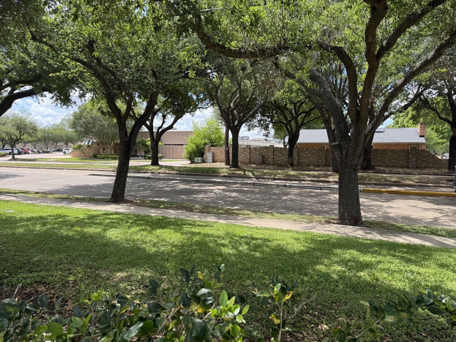 Williams Trace Boulevard pavement and drainage work
